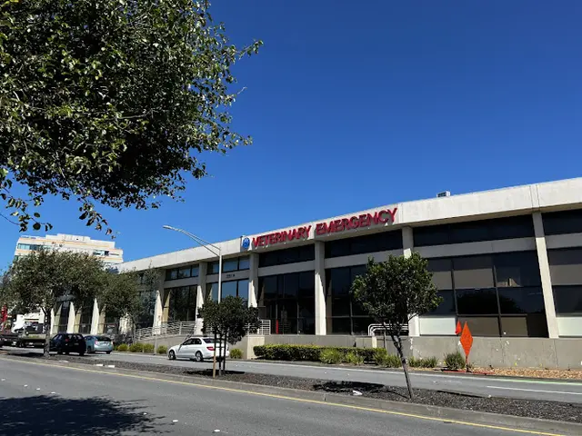 Dog day care center BluePearl Pet Hospital Daly City