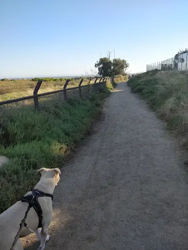 Dog Park Brightwater Trailhead Huntington Beach