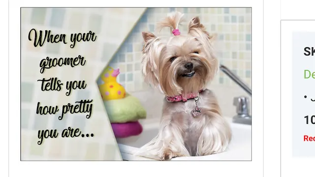 Dog Grooming Jeni's Advanced Grooming Redding