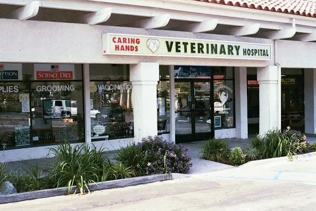 Pet boarding service Caring Hands Veterinary Hospital, A Thrive Pet Healthcare Partner Thousand Oaks