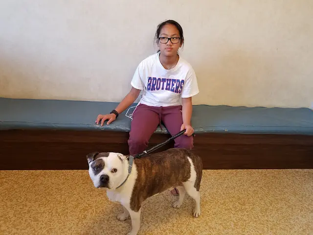 Pet vet Del Paso Veterinary Clinic Sacramento