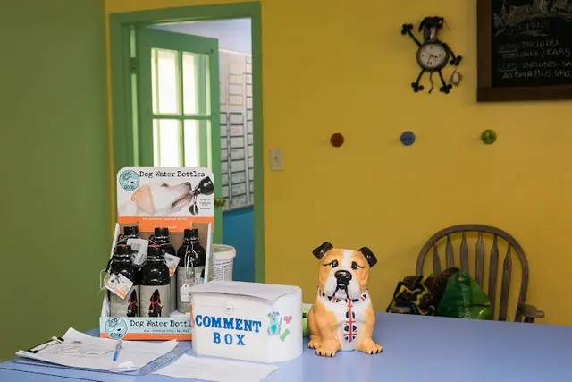 Pet vet Country Kennels Tacoma