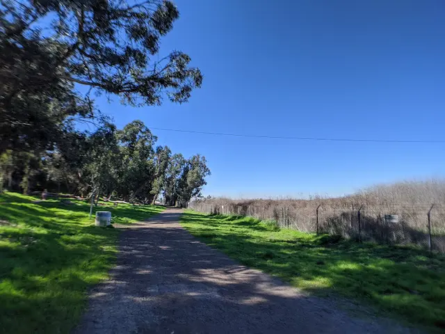 Dog Park Gum Grove Park Long Beach