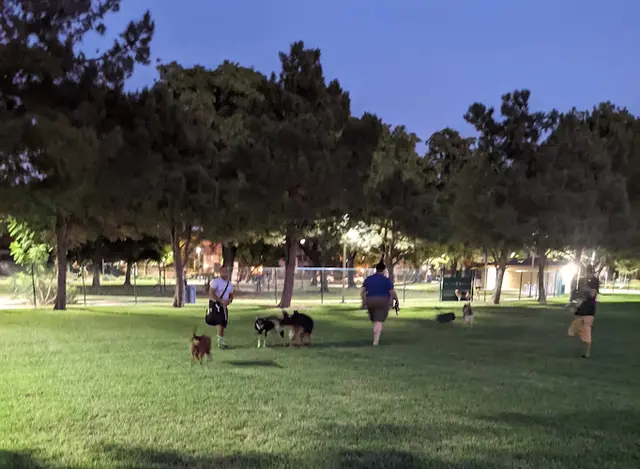 Dog Park Ontario Motor Speedway Park Ontario