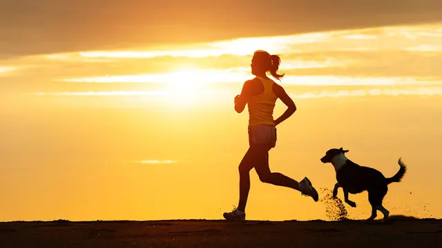 Pet vet Psaila Veterinary Services Fresno