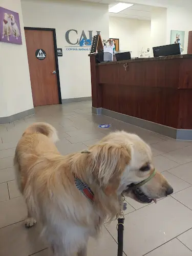 Pet vet Covina Animal Hospital West Covina