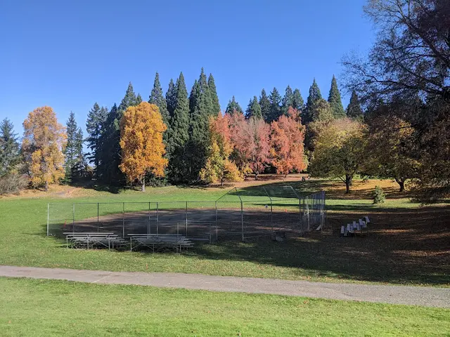 Dog Park Pier Park Portland