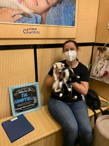 Rescue & Shelter Saving One Life- San Diego San Marcos