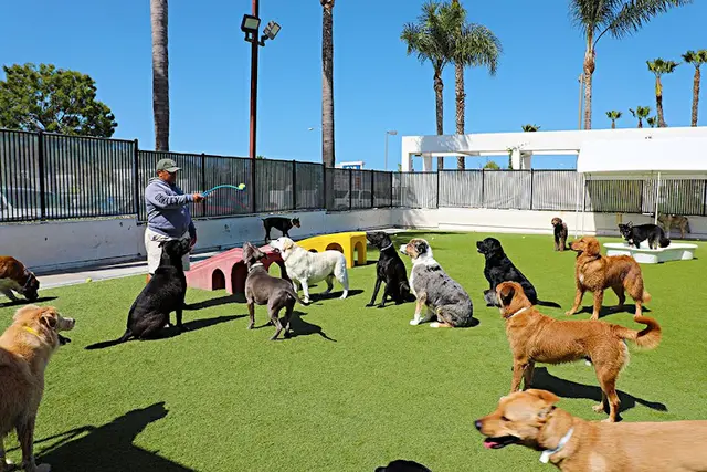 Pet vet The Animal Keeper Oceanside