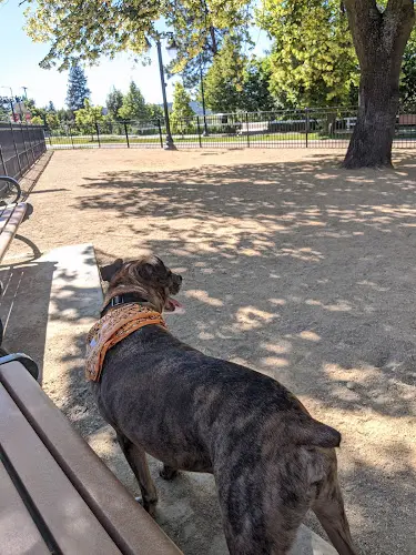 Dog Park Downtown Spokane Dog Park Spokane