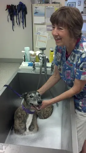Dog day care center Cascade Veterinary Hospital Federal Way