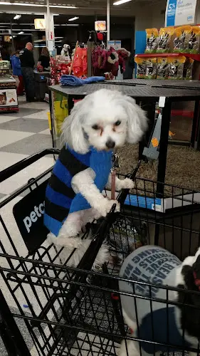 Dog breeder Petco Hillsboro