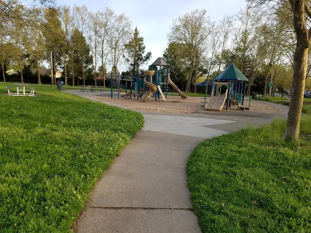 Dog Park Live Oak Park Santa Rosa