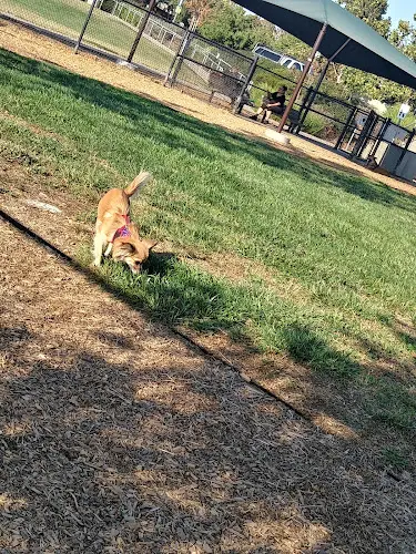 Dog Park Park Vallejo