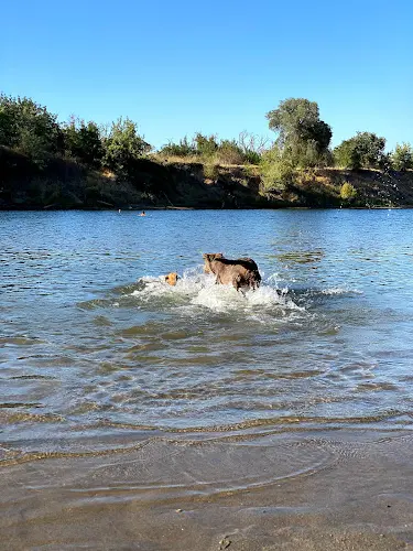 Dog Park Sutter's Landing Beach Sacramento