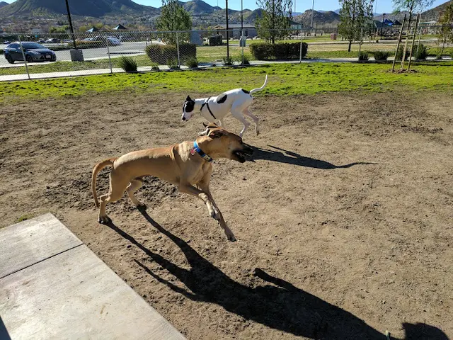 Dog Park Canyon Hills Community Park Temecula