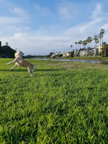 Dog Park Dockweiler Beach Inglewood