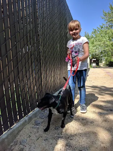 Rescue & Shelter Valley Humane Society Livermore