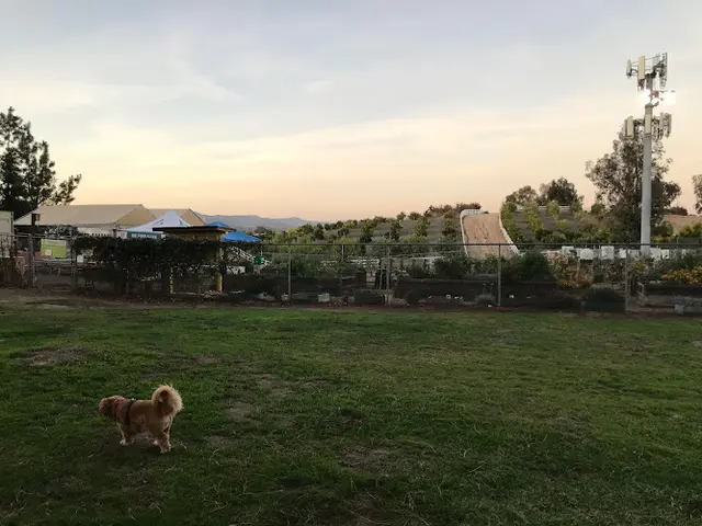 Dog Park Alta Murrieta Sports Park Temecula