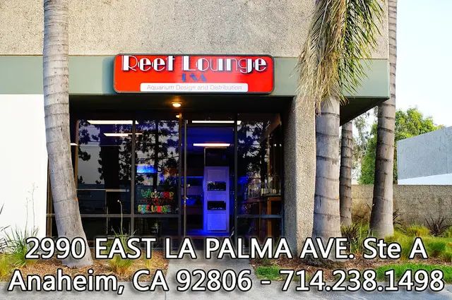 Rescue & Shelter Reef Lounge USA Anaheim