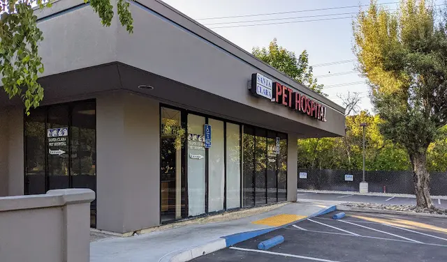 Dog day care center Santa Clara Pet Hospital Santa Clara