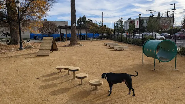 Dog Park Main Street Dog Agility Park Hayward
