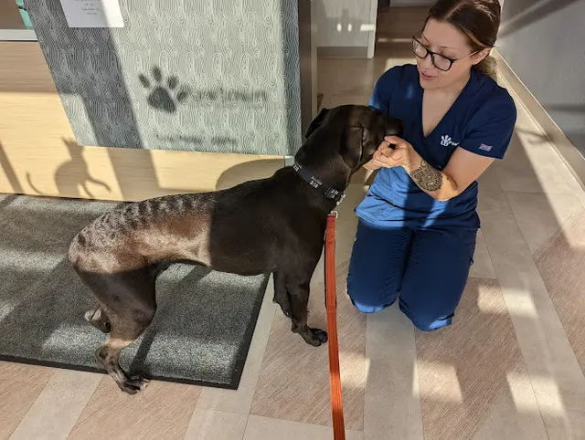 Pet boarding service Pawtown Veterinary Care Bend