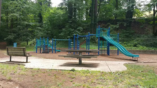 Dog Park Leverich Park Vancouver