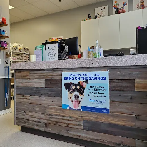 Pet vet Animal Hospital of Maple Valley Kent