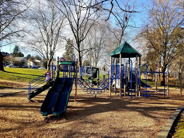 Dog Park Lowell Park Everett