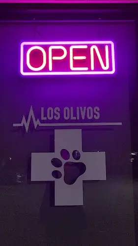 Pet vet Los Olivos Animal Hospital, Daily routine & Emergency care Riverside