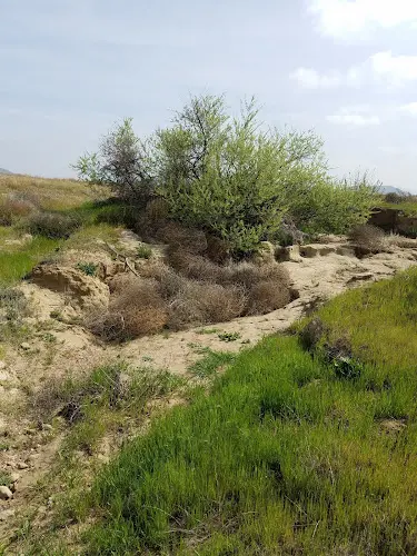Dog Park French Valley Wildlife Area Temecula
