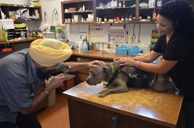 Pet vet Discovery Animal Hospital Sacramento