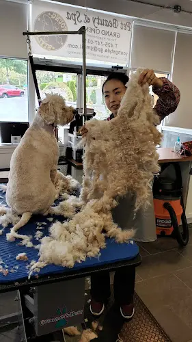 Dog Grooming Young Style Pet Beauty and Spa Renton
