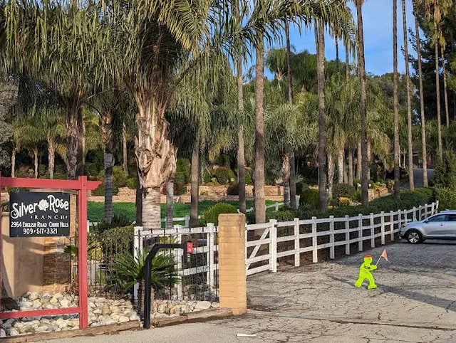Dog day care center Silver Rose Ranch Corona