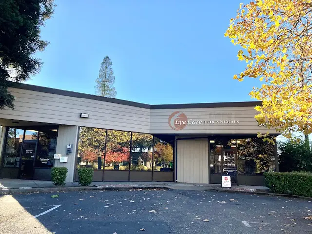 Pet vet Eye Care for Animals - Santa Rosa Santa Rosa
