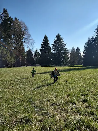 Dog Park Raymond E. Shaffer Community Park Vancouver