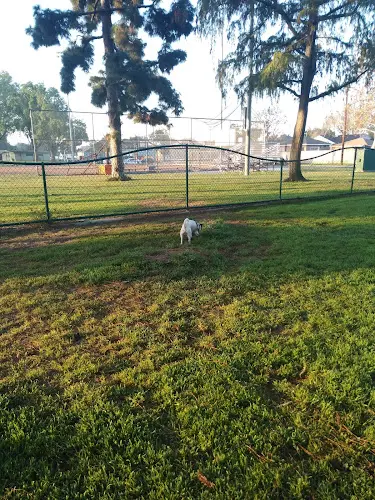 Dog Park Coolidge Park Carson