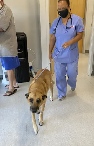 Dog day care center Solano-Napa Pet Emergency Clinic Fairfield