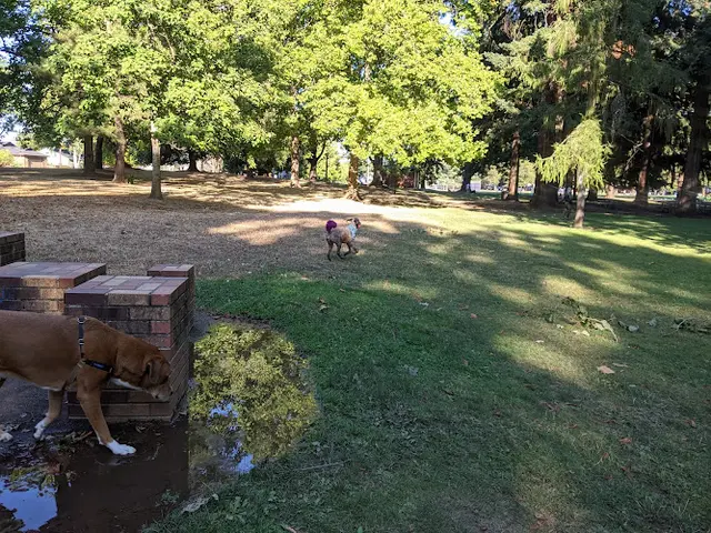 Dog Park Woodstock Park Gresham