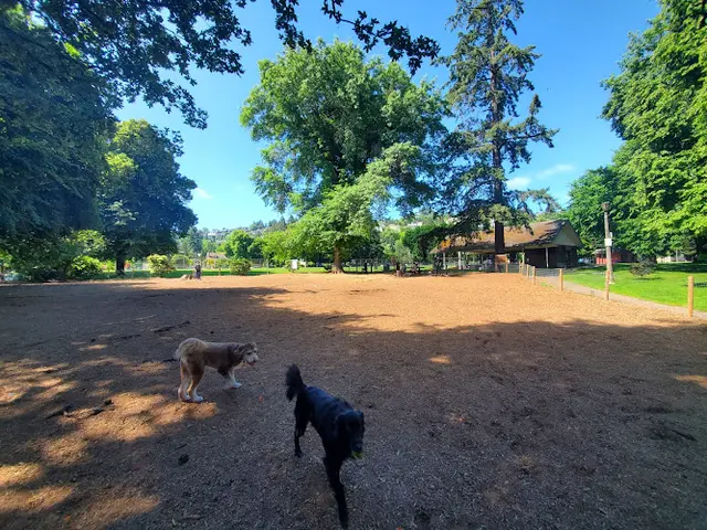 Dog Park Wallace Dog Park Gresham