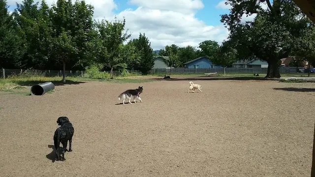 Dog Park Newberg Dog Park Hillsboro
