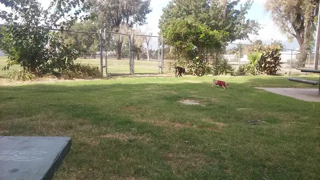 Dog Park Victoria Park San Bernardino