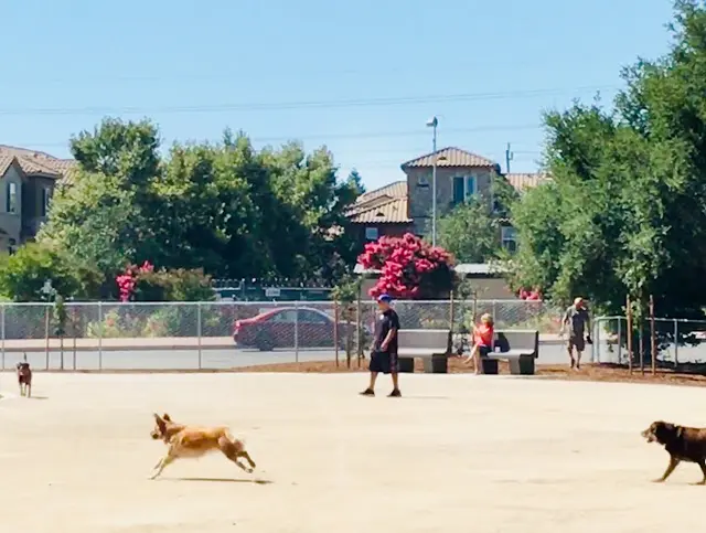 Dog Park Manuel J. Barandas Park Sacramento