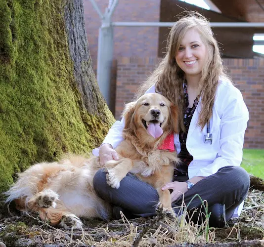 Pet vet Cornelius Veterinary Clinic Hillsboro