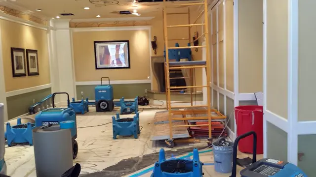 Rescue & Shelter GCD Restoration Daly City