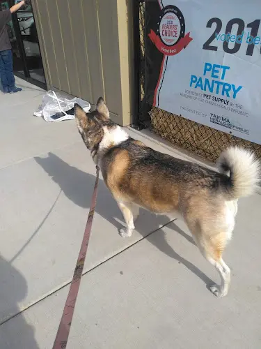 Dog walker PET PANTRY TERRACE HEIGHTS Yakima