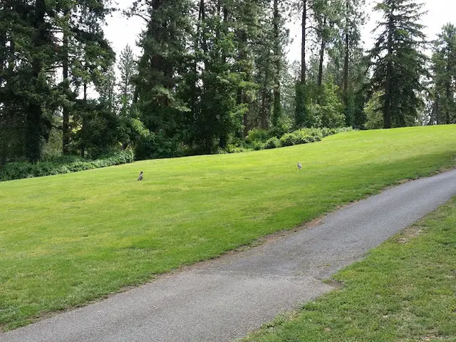Dog Park Spokane City Parks & Recreation Spokane