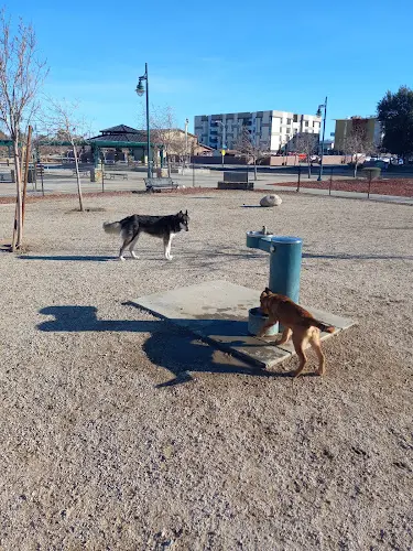 Dog Park Heroes Dog Park Lancaster