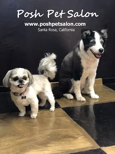 Pet boarding service Posh Pet Salon Santa Rosa